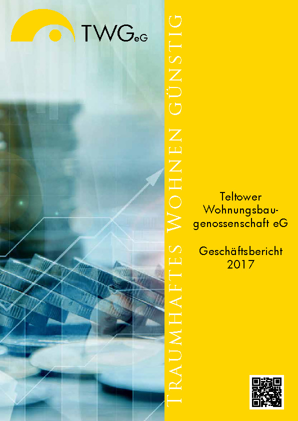 Geschäftsbericht 2017